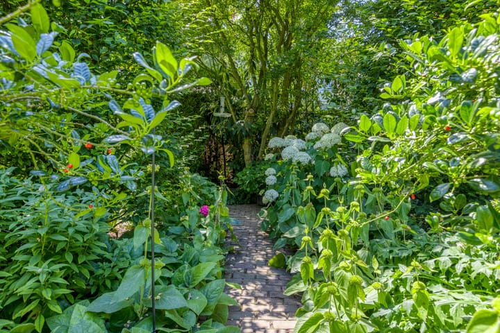 Foto 40 van Courtine 9