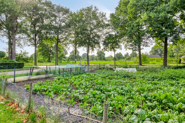 Foto 37 van Europalaan 11