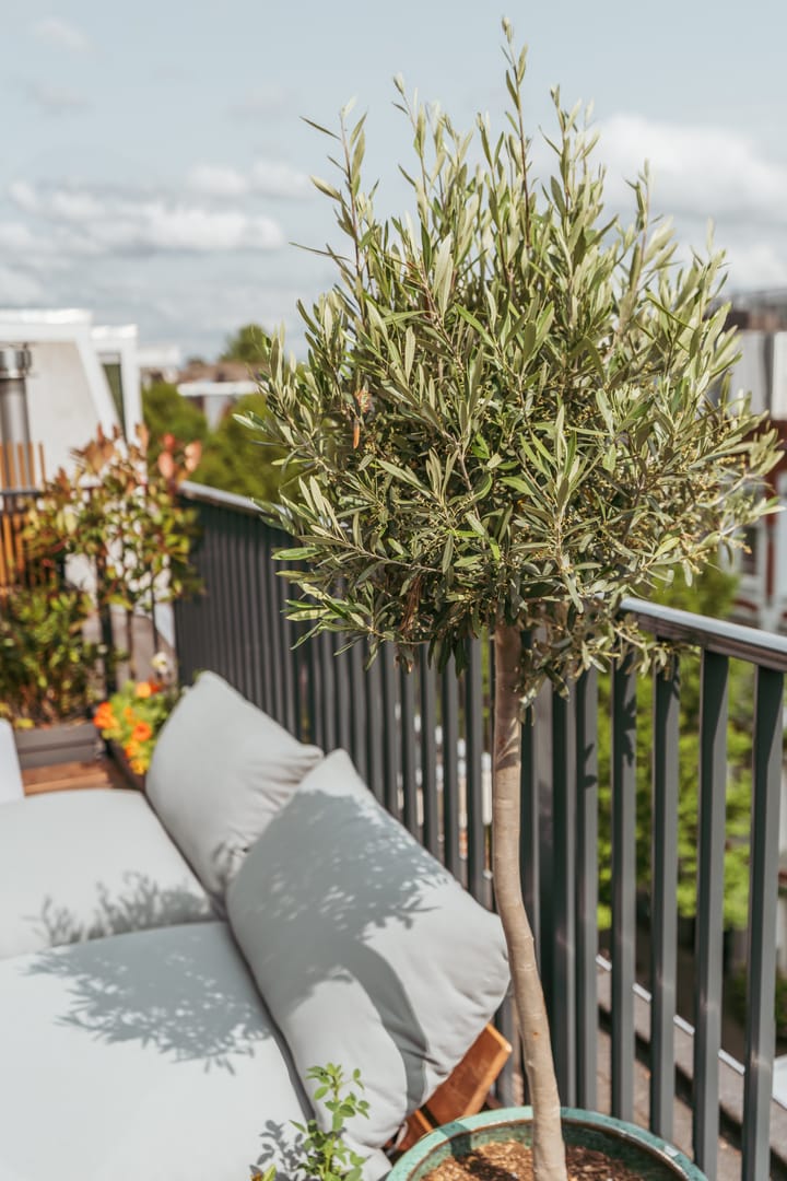 Foto 45 van Cornelis Anthoniszstraat 23-2