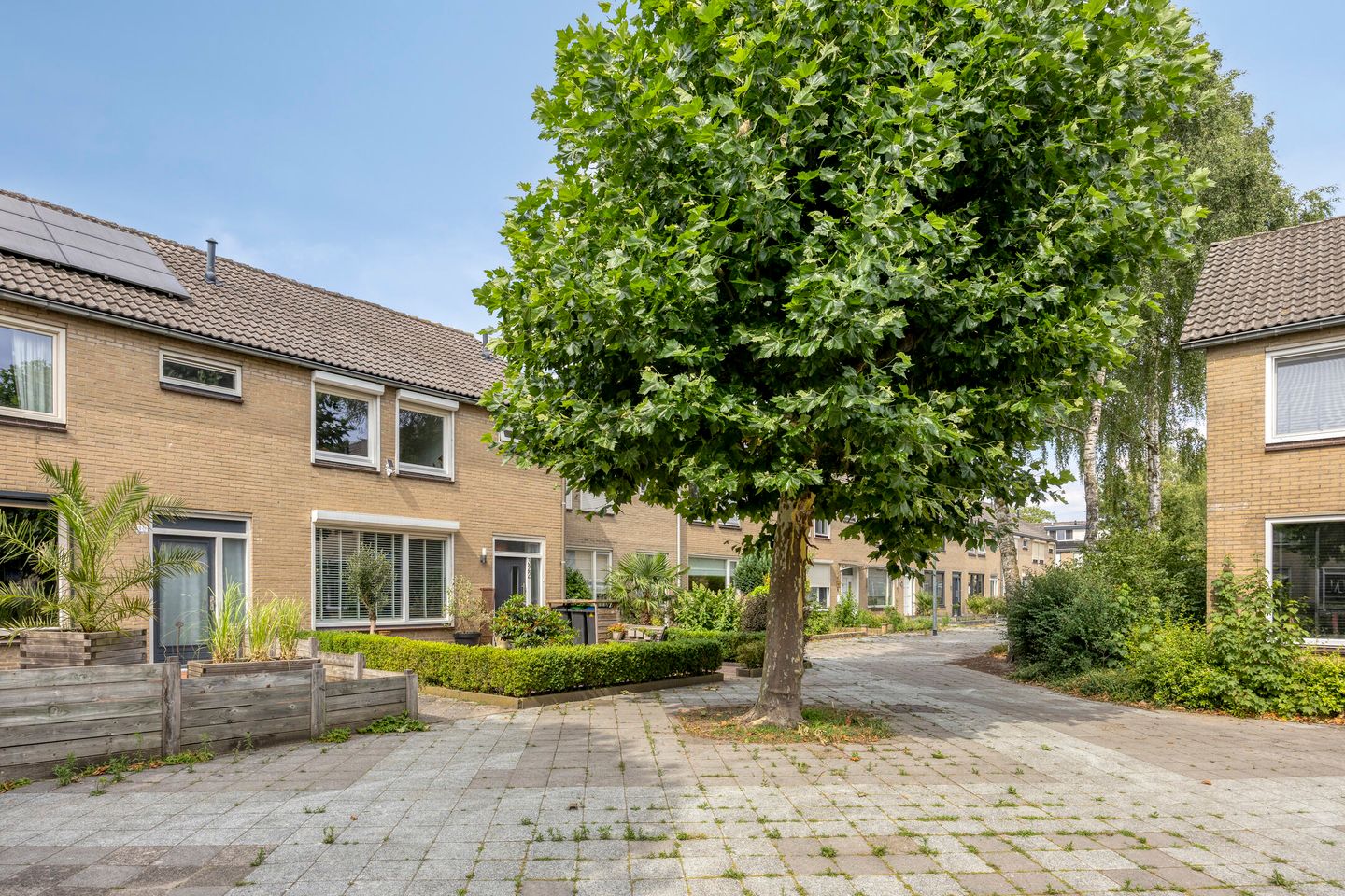 Foto 5 van Bosveld 322