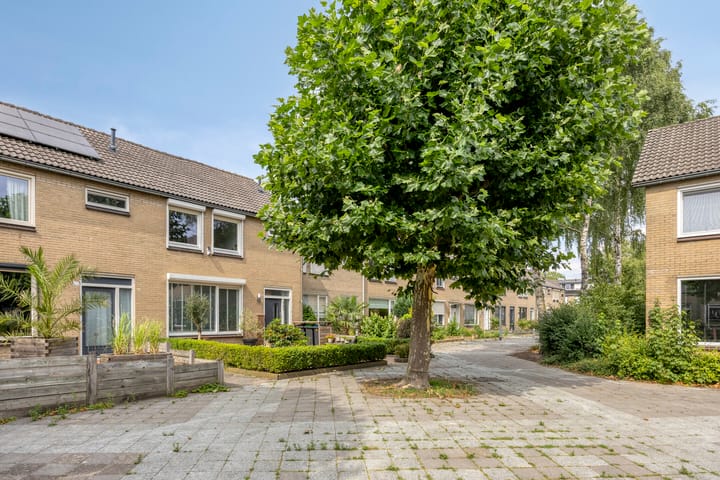 Foto 5 van Bosveld 322