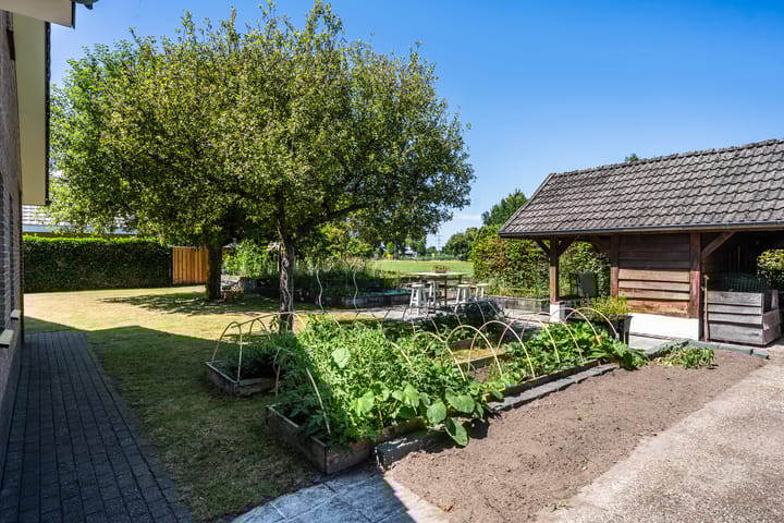 Foto 43 van Hoogenboomstraat 21