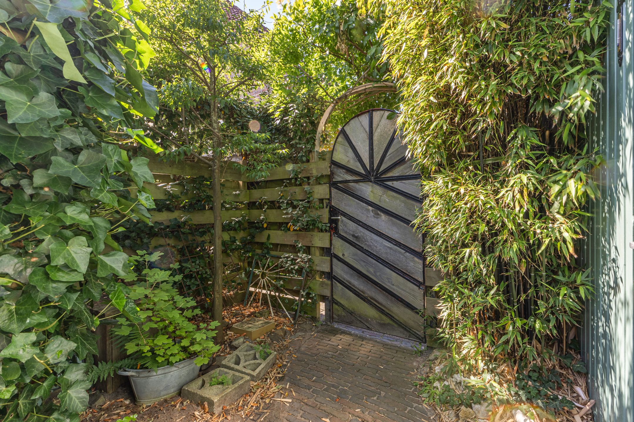 Foto 18 van De Waard 28