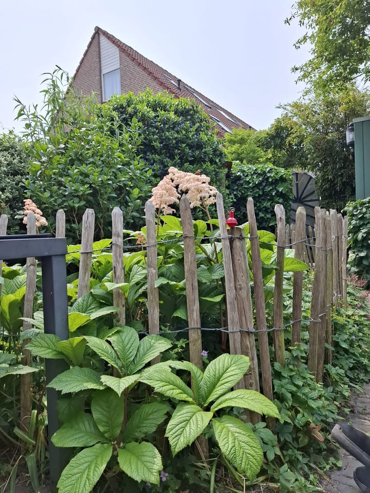 Foto 20 van De Waard 28