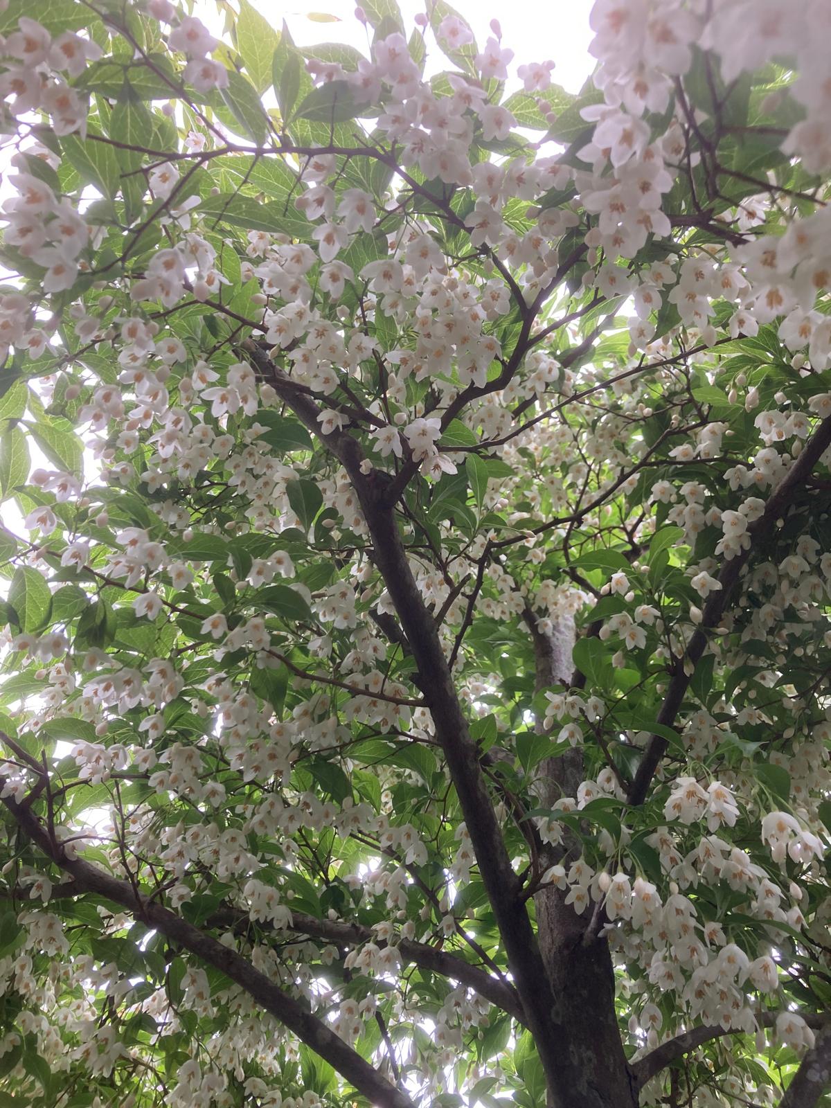 Foto 21 van De Waard 28