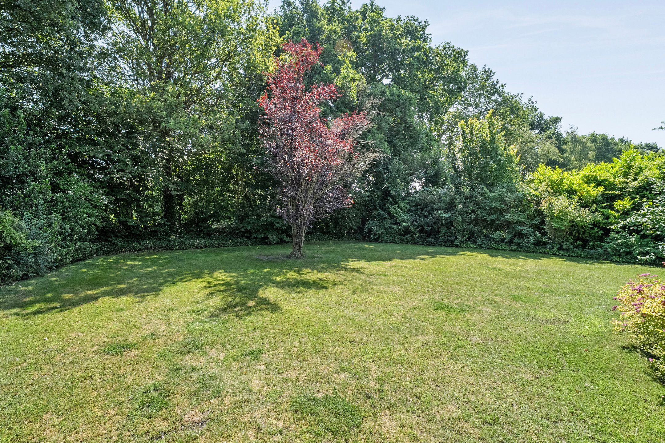 Foto 30 van Binnenweg 12-63