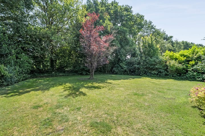 Foto 30 van Binnenweg 12-63