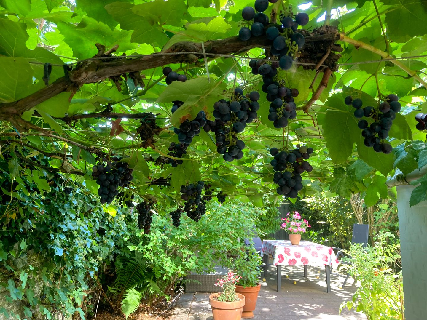 Foto 20 van Blauwstraat 17