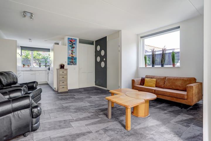 Foto 5 van Aardbeivlinder 31