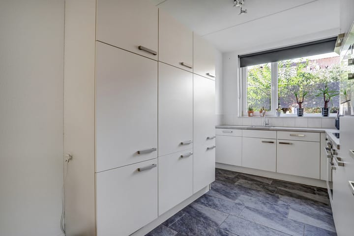 Foto 10 van Aardbeivlinder 31