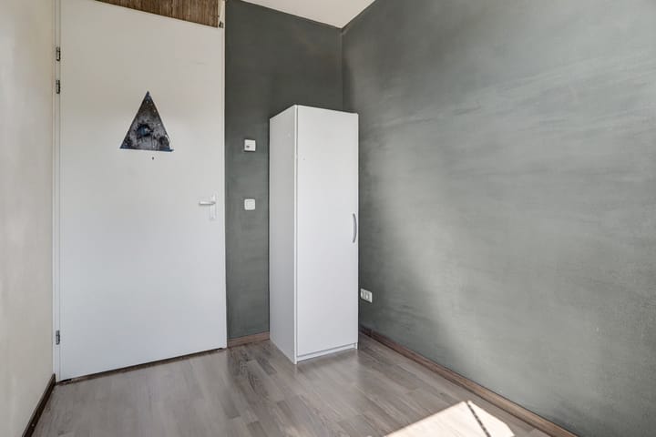 Foto 19 van Aardbeivlinder 31