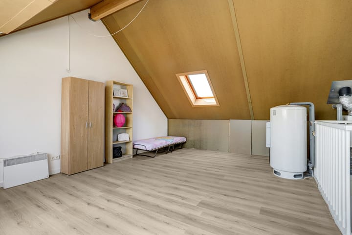 Foto 24 van Aardbeivlinder 31