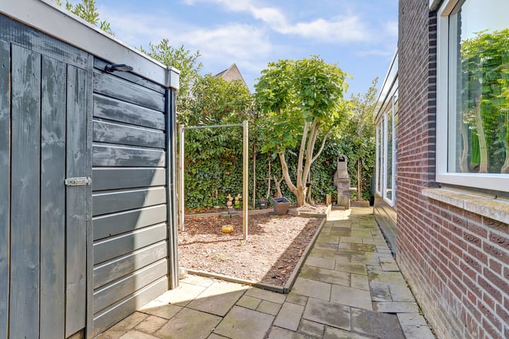 Foto 27 van Aardbeivlinder 31