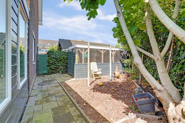 Foto 29 van Aardbeivlinder 31