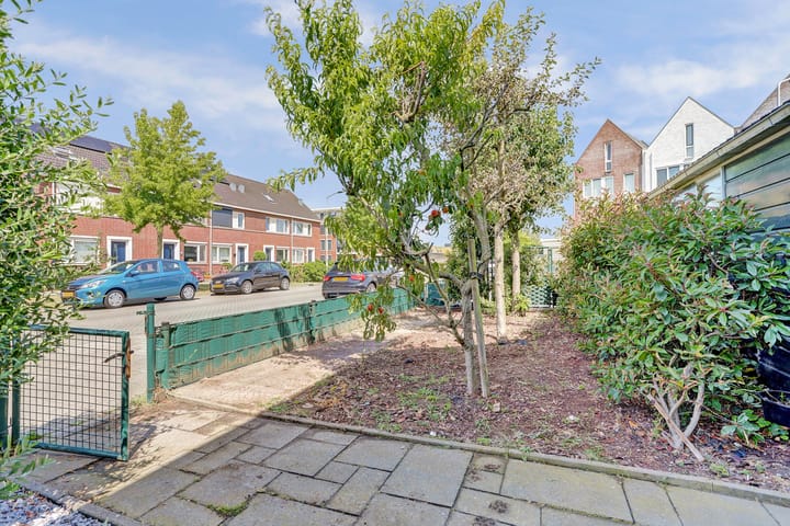 Foto 37 van Aardbeivlinder 31