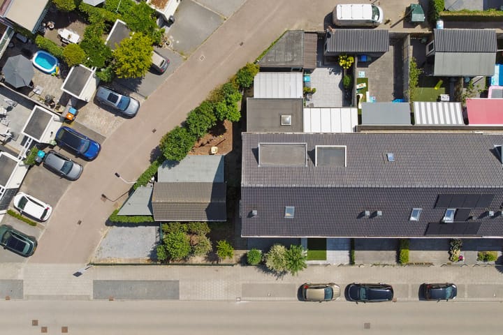 Foto 38 van Aardbeivlinder 31