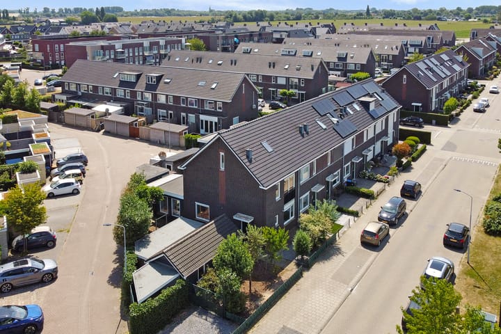 Foto 39 van Aardbeivlinder 31