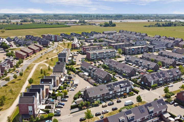 Foto 40 van Aardbeivlinder 31