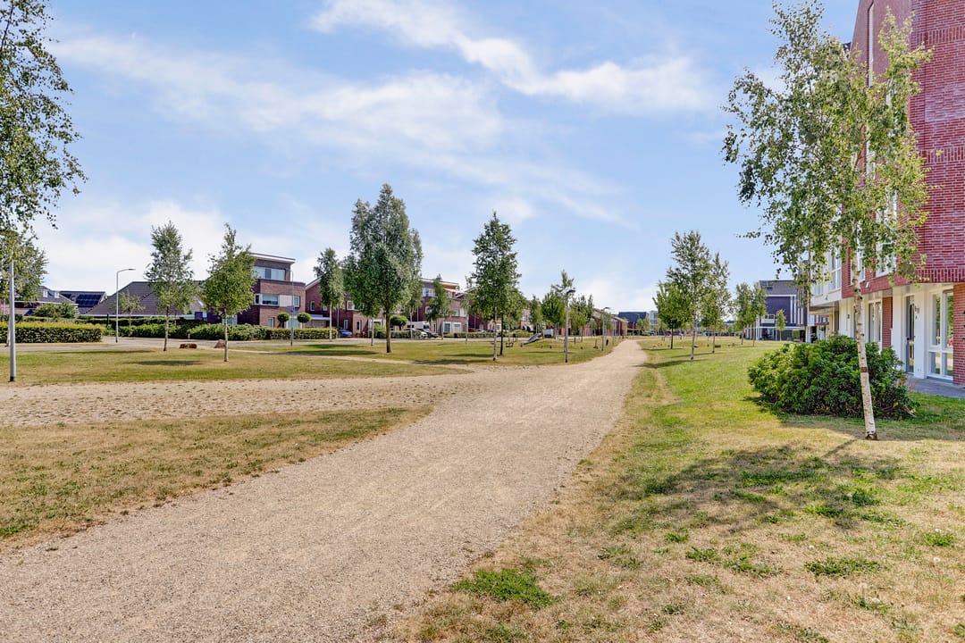 Foto 41 van Aardbeivlinder 31