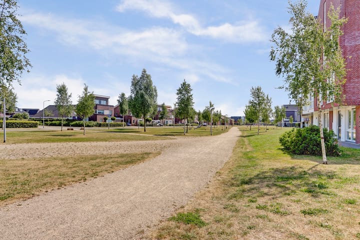 Foto 41 van Aardbeivlinder 31