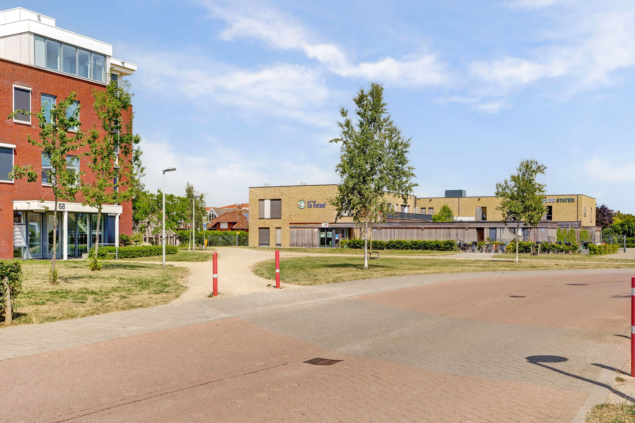 Foto 42 van Aardbeivlinder 31