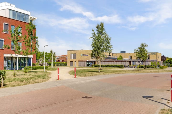 Foto 42 van Aardbeivlinder 31