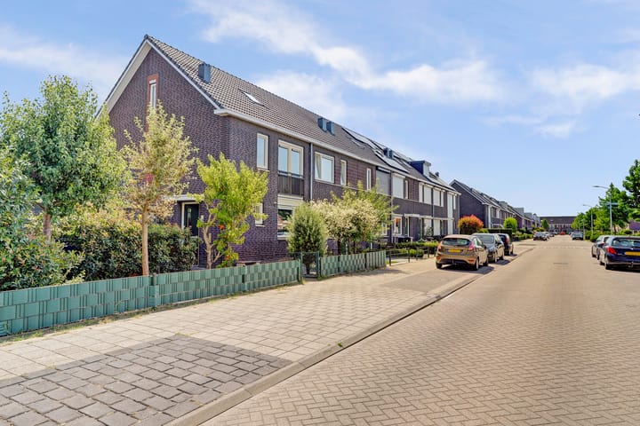 Foto 43 van Aardbeivlinder 31