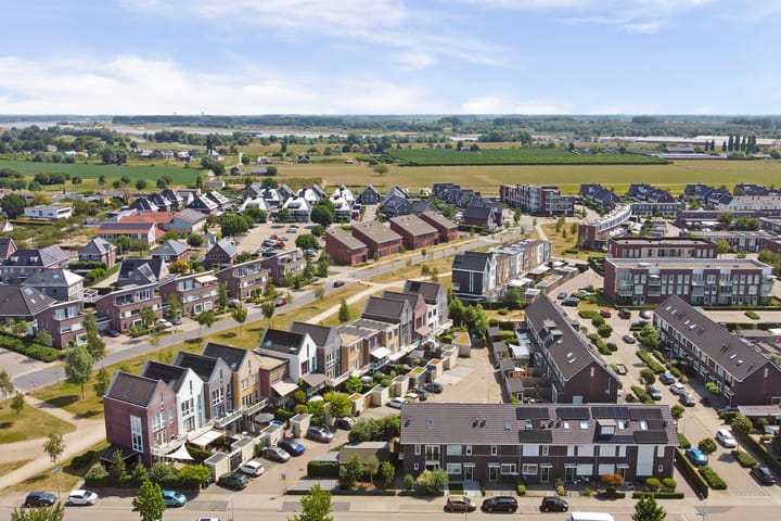 Foto 44 van Aardbeivlinder 31