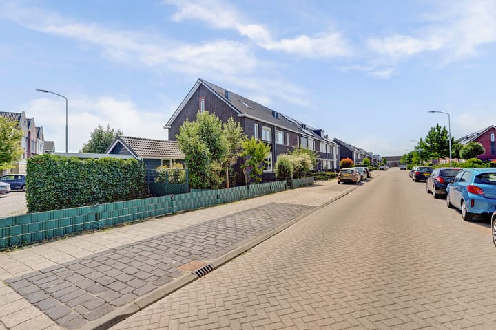 Foto 45 van Aardbeivlinder 31