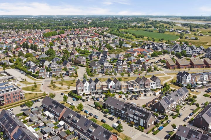 Foto 46 van Aardbeivlinder 31