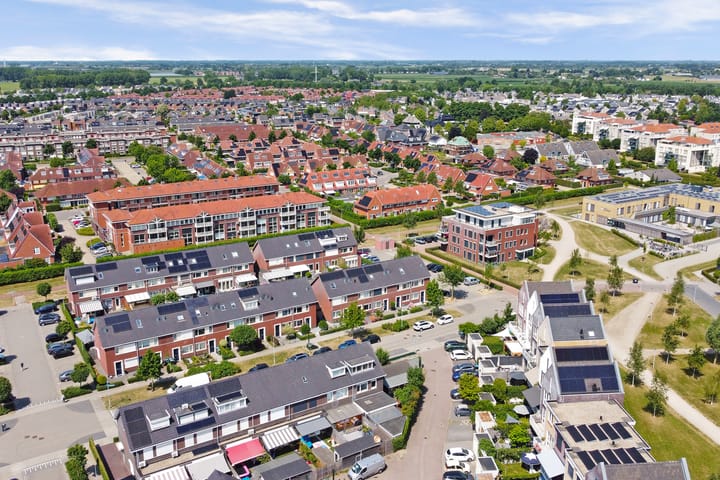 Foto 47 van Aardbeivlinder 31