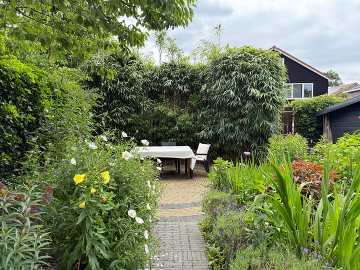 Photo 45 of Van Teijlingenlaan 9