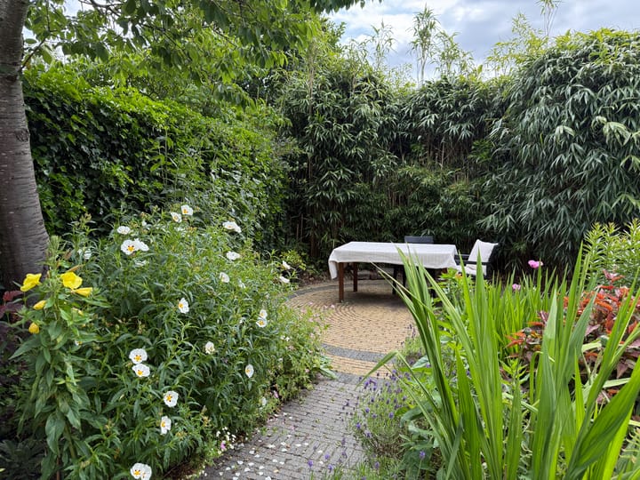 Photo 46 of Van Teijlingenlaan 9