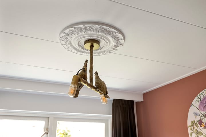 Foto 37 van Bremmersstraat 10