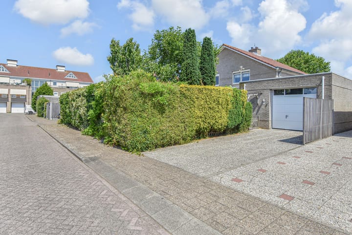 Foto 43 van Tormentil 51