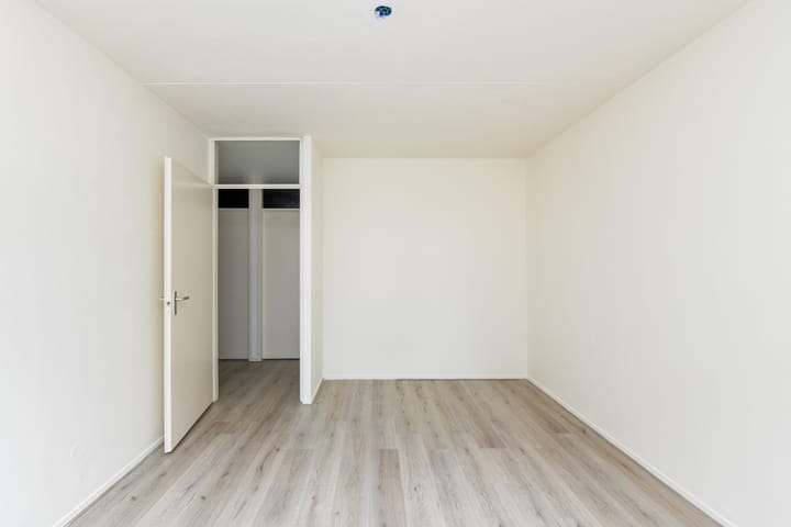 Foto 7 van Havikskruid 85