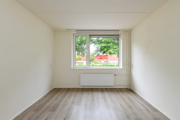 Foto 8 van Havikskruid 85