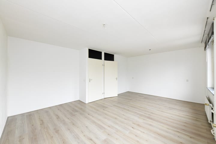 Foto 12 van Havikskruid 85