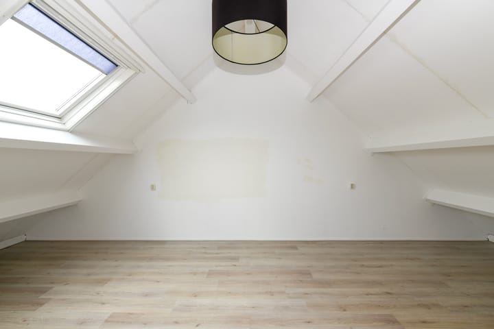 Foto 16 van Havikskruid 85