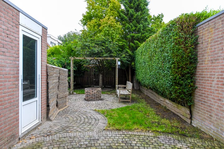 Foto 20 van Havikskruid 85