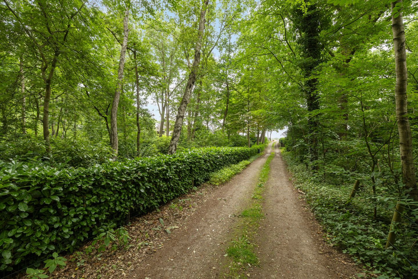 Foto 44 van Lemelerveldseweg 57