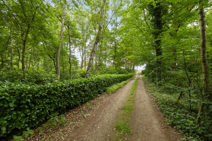 Foto 44 van Lemelerveldseweg 57