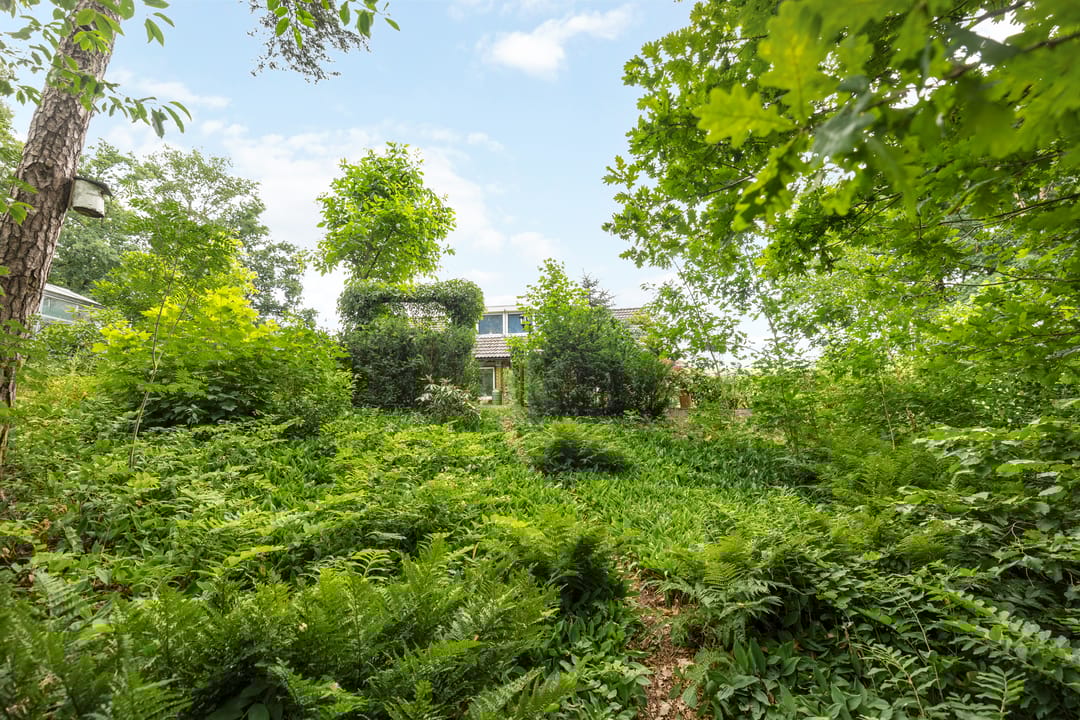 Foto 46 van Lemelerveldseweg 57