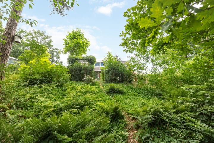 Foto 46 van Lemelerveldseweg 57