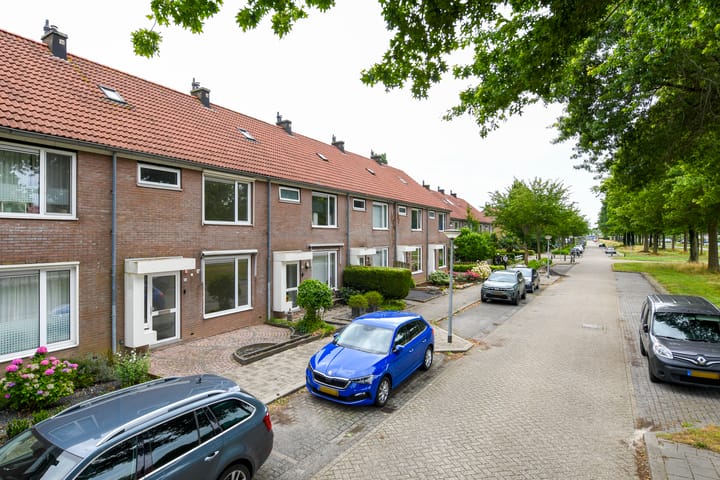 Foto 24 van Havikskruid 85