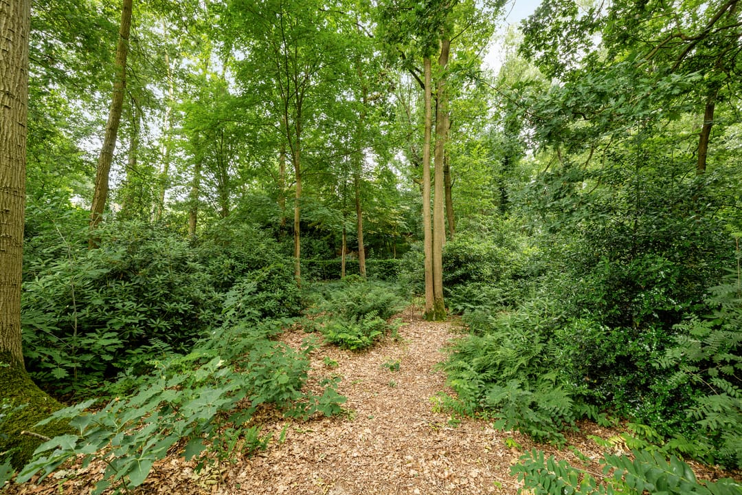 Foto 47 van Lemelerveldseweg 57