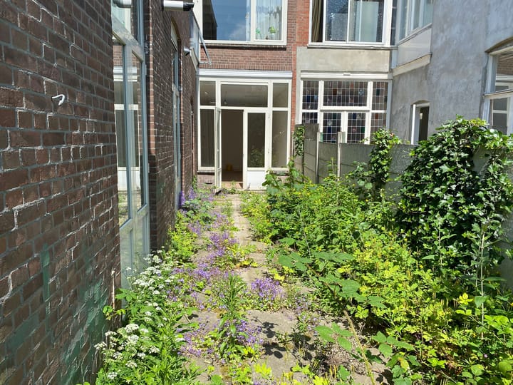 Foto 35 van Weimarstraat 238