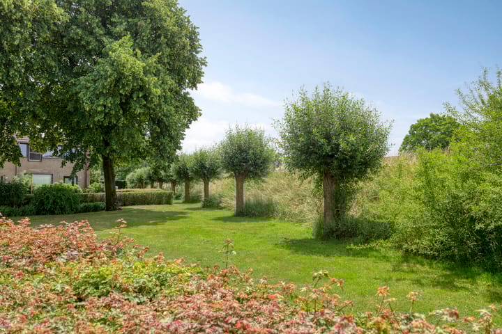 Foto 35 van Van den Boogaardstraat 36