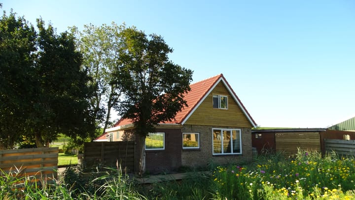 Foto 27 van Zeedijk 6