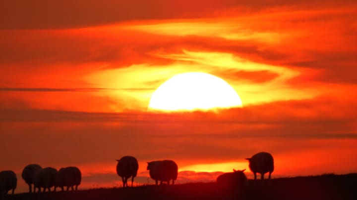 Foto 31 van Zeedijk 6